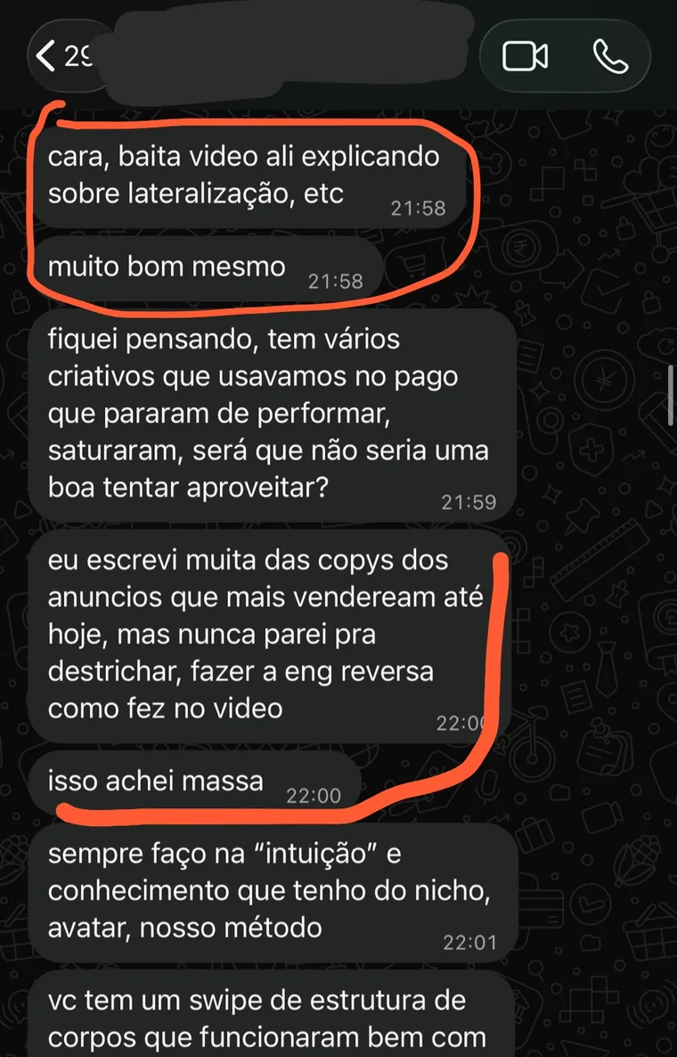 Conversa elogiando a estrutura de lateralização e engenharia reversa